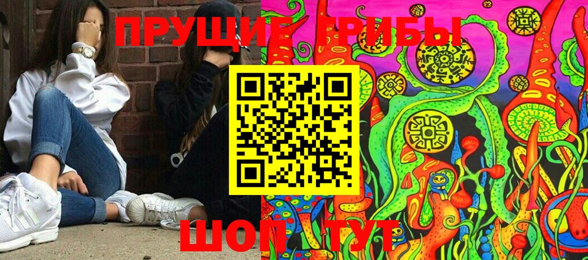 Галлюциногенные грибы мицелий  Вход с VPN  Псилоцибиновые грибы мицелий  Воронеж 